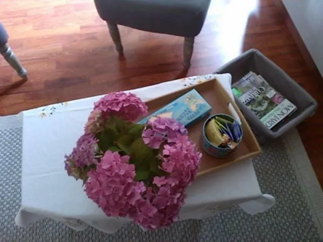 Apartment L'aure Bleue *